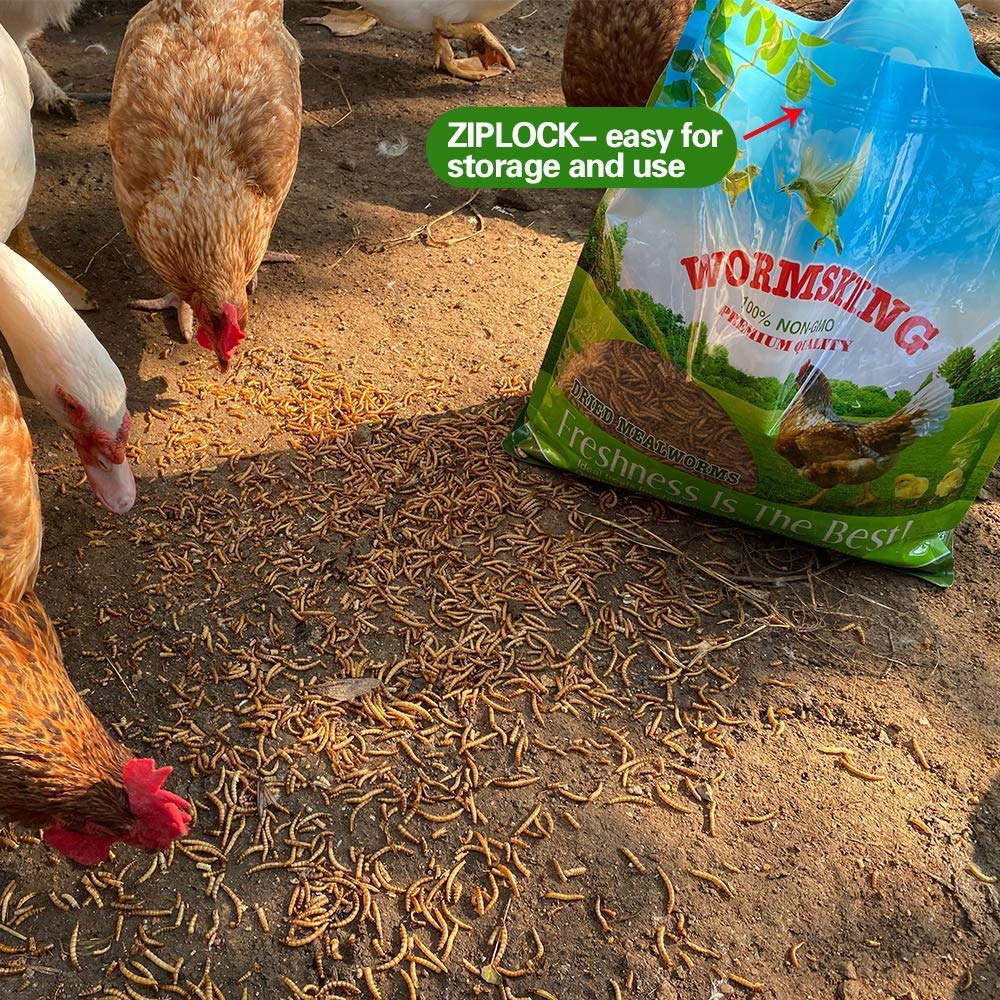 N2 close-up of whole dried mealworms highlighting high-protein texture and quality