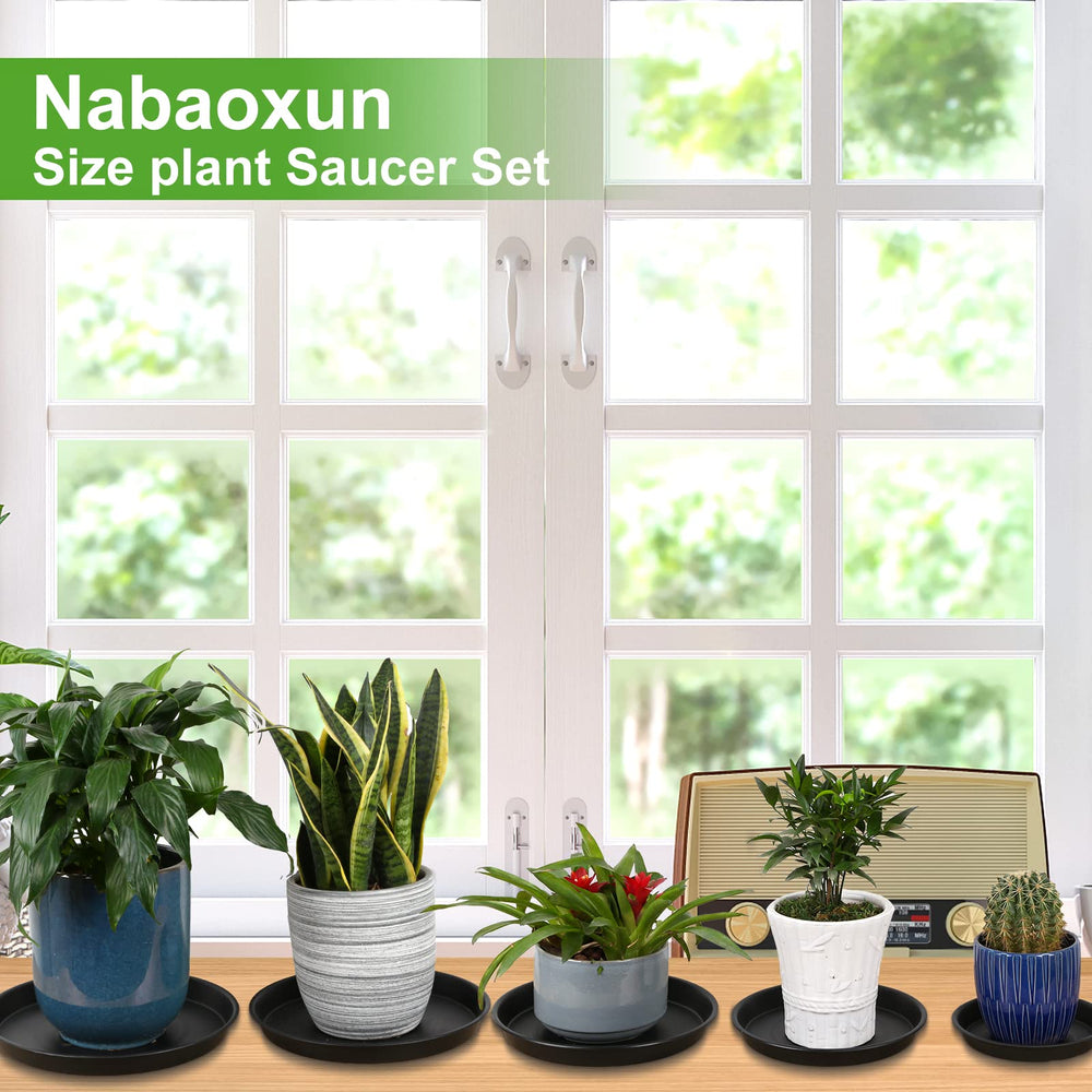 NABAOXUN saucer next to tape measure showing fit dimensions