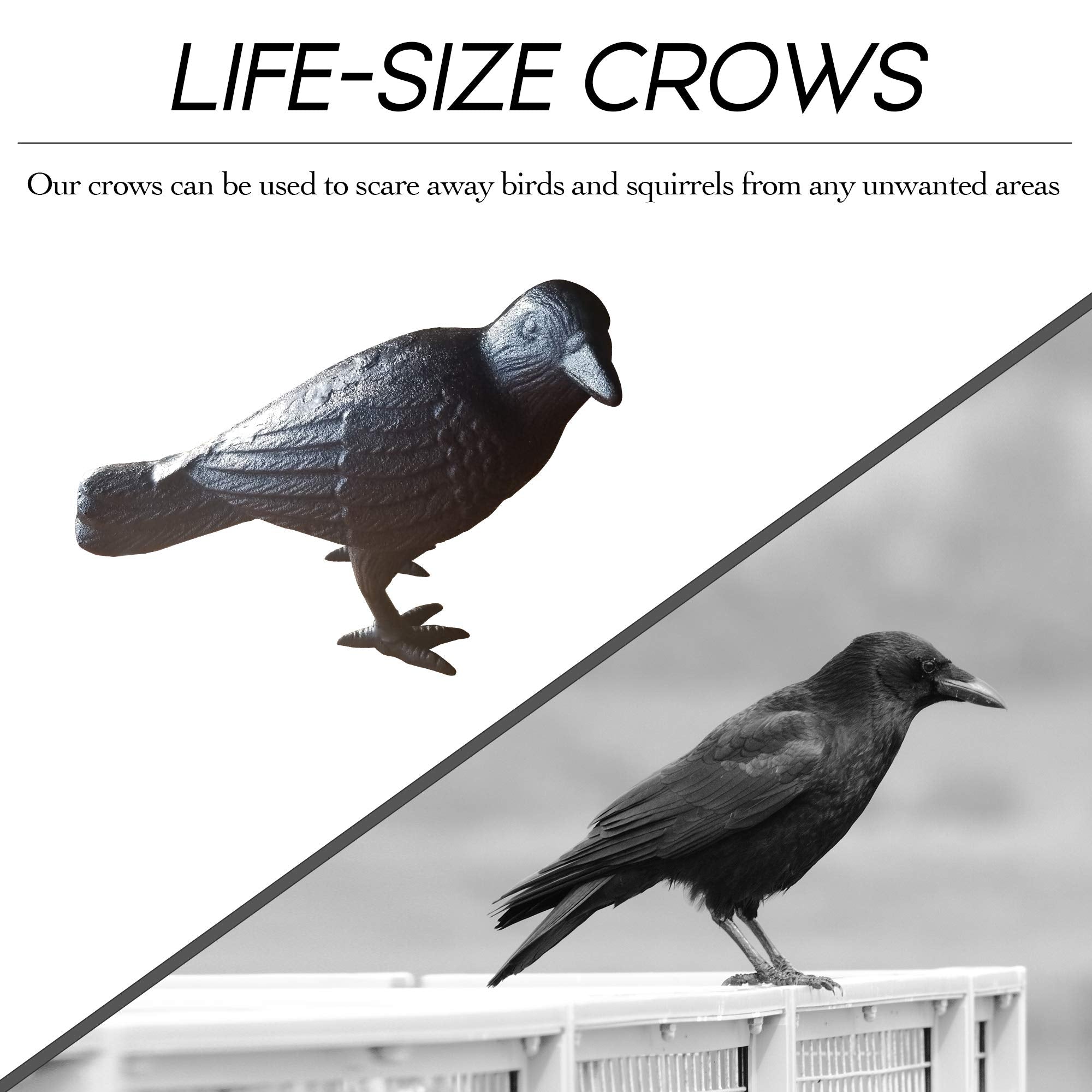 NACH crow styled on mantel offering indoor decor versatility and charm