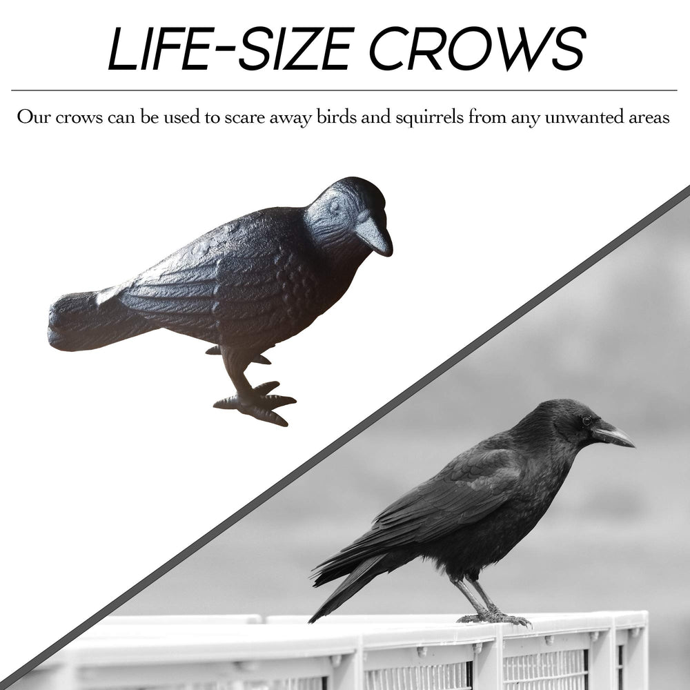 NACH crow styled on mantel offering indoor decor versatility and charm