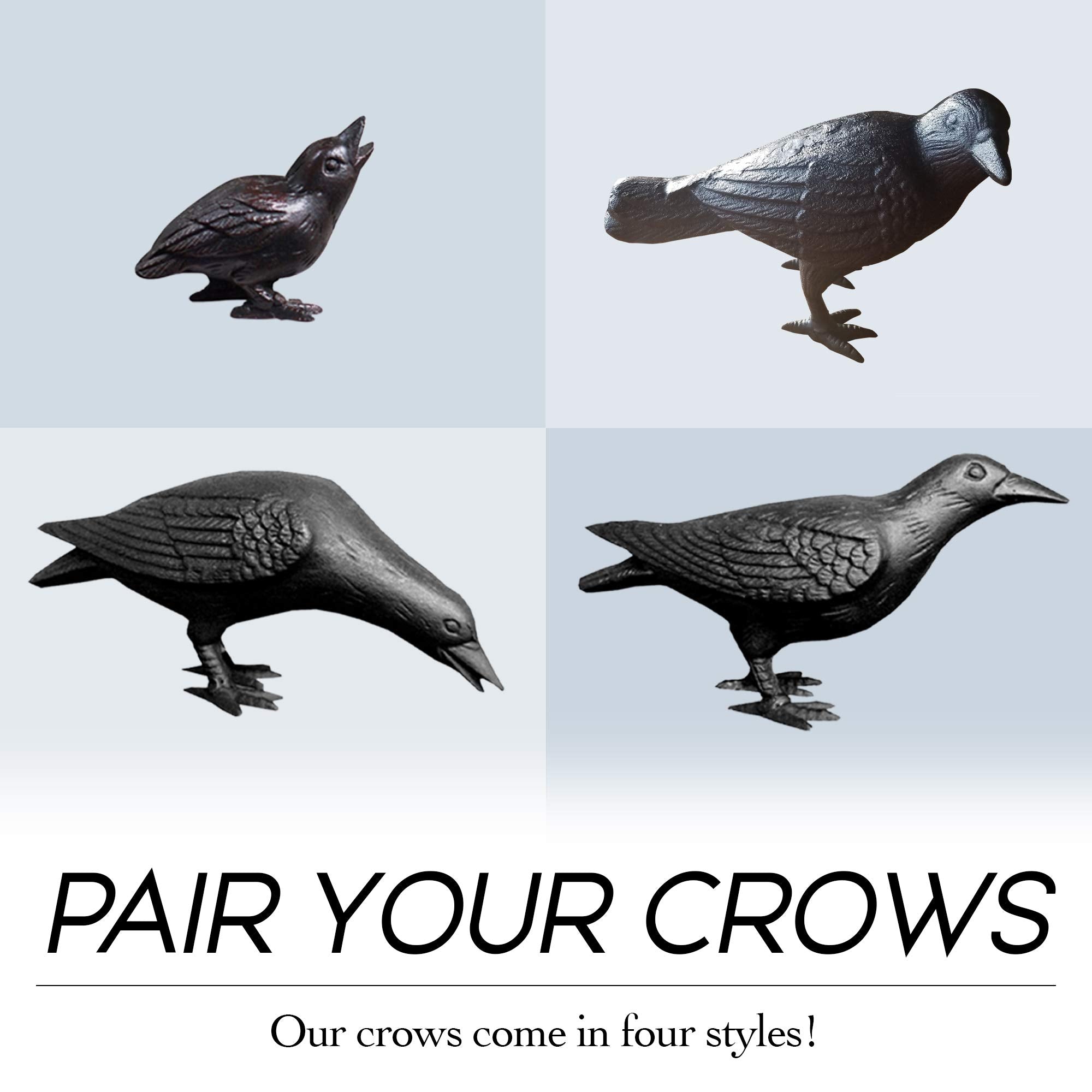 NACH crow underside view focusing on feet detail and sturdy base benefit