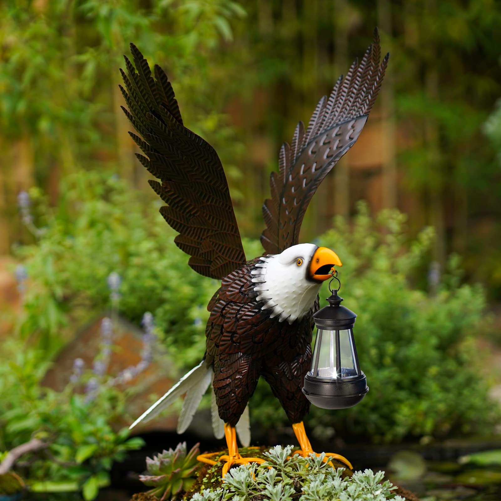 Nacome eagle front view showing bold pose and curb appeal