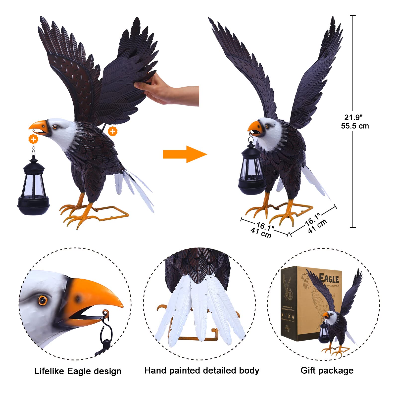 Nacome eagle placed in garden offering decorative focal point