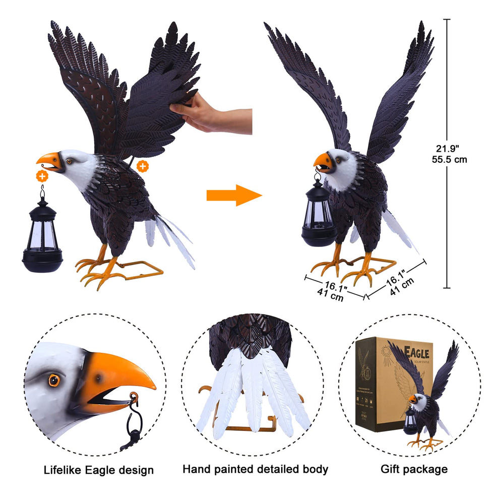 Nacome eagle placed in garden offering decorative focal point