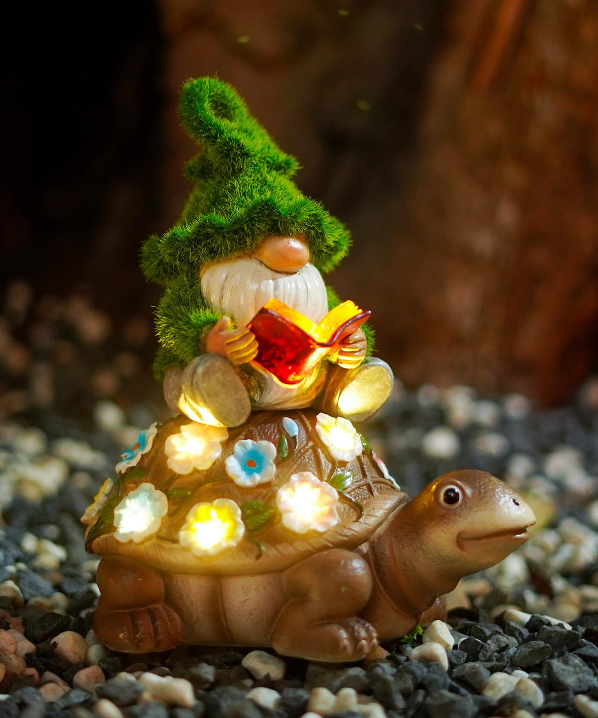 Nacome front view of gnome riding turtle showing decorative detail and curb appeal