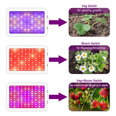 NAILGIRLS light mounted inside grow tent demonstrating canopy coverage benefit