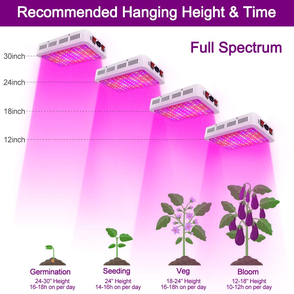 NAILGIRLS illuminating young plants in veg mode to promote leaf development benefit