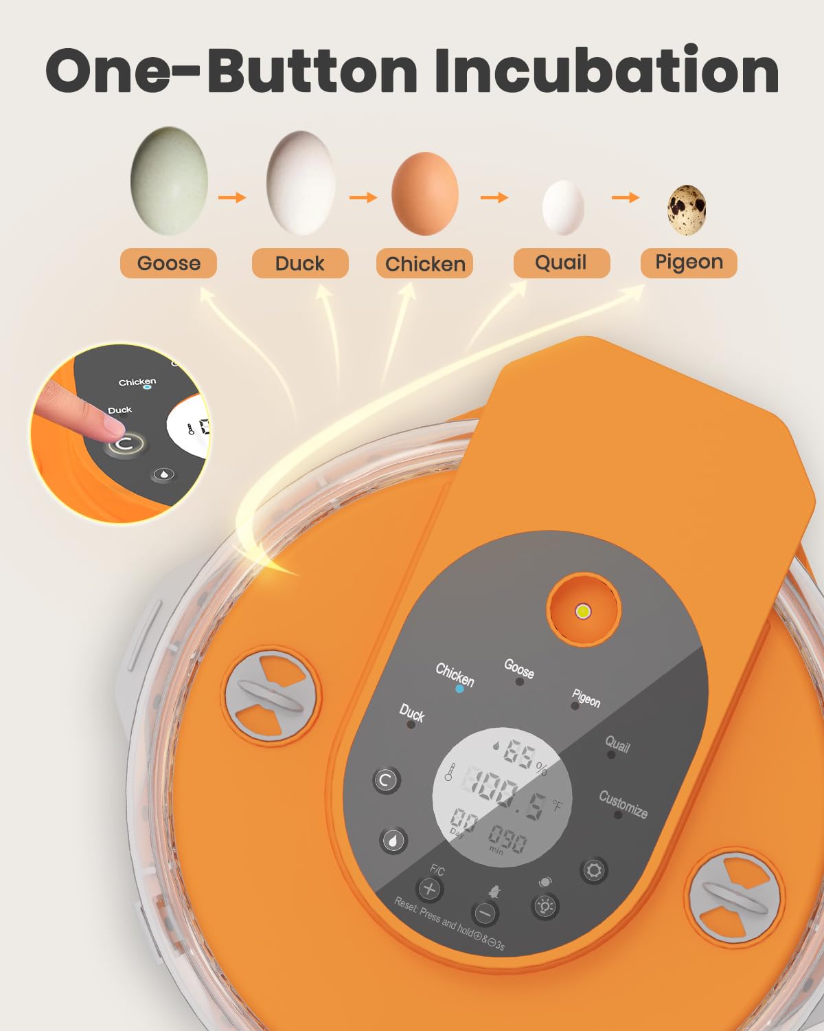 Nailrepro close-up of automatic egg turner showing gentle rotation action
