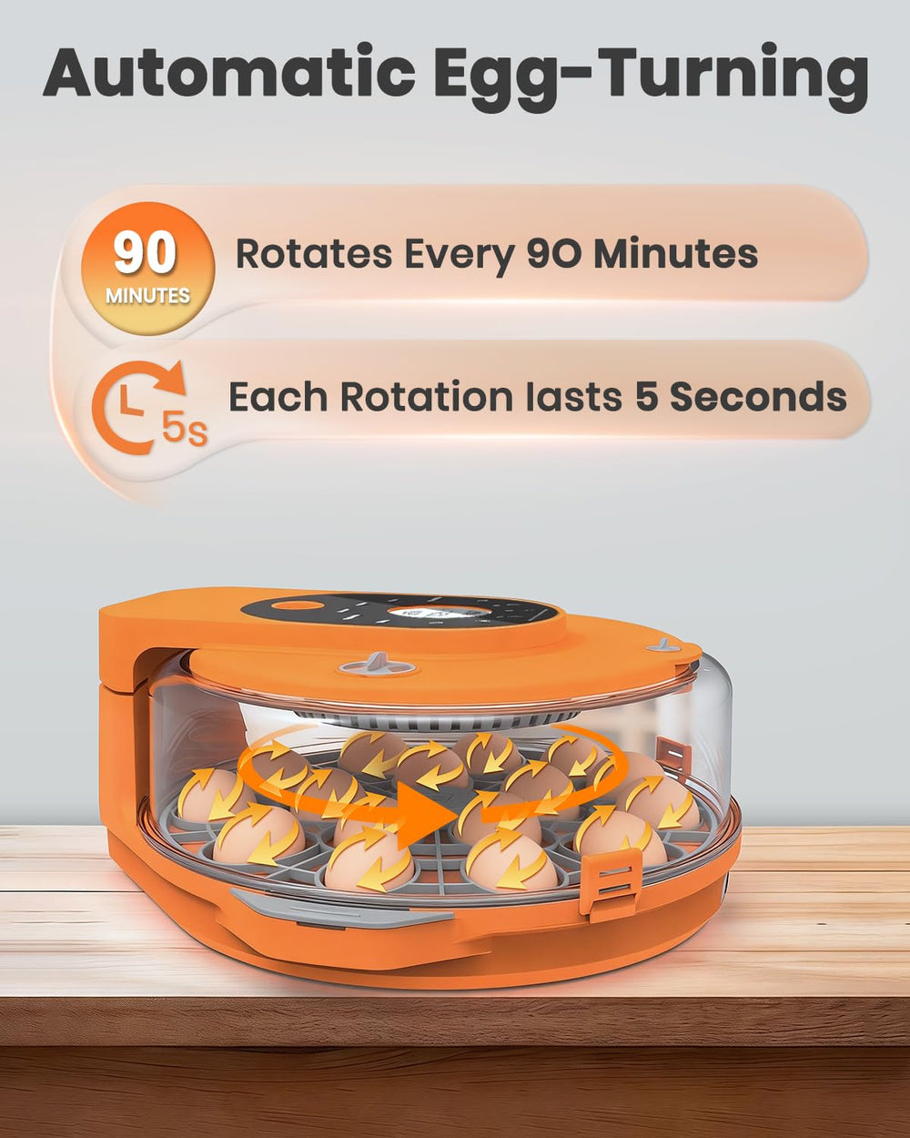 Nailrepro incubator in classroom to demonstrate educational hatch projects