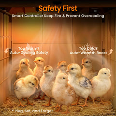Nailrepro observation light illuminated enabling low-disturbance chick checks