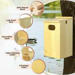 Nalwort floor drainage holes visible to keep nest dry — prevents water pooling