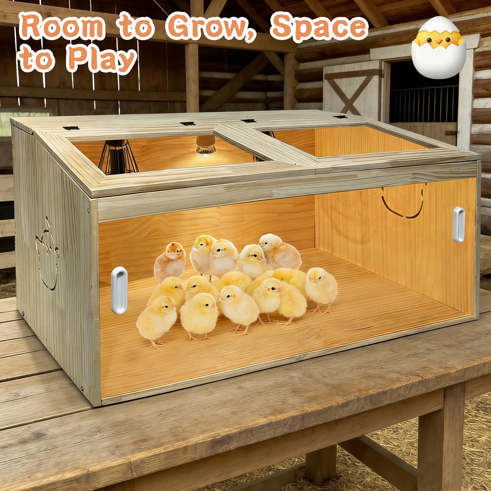Nalwort feeder and waterer layout showing organized feeding and spill reduction
