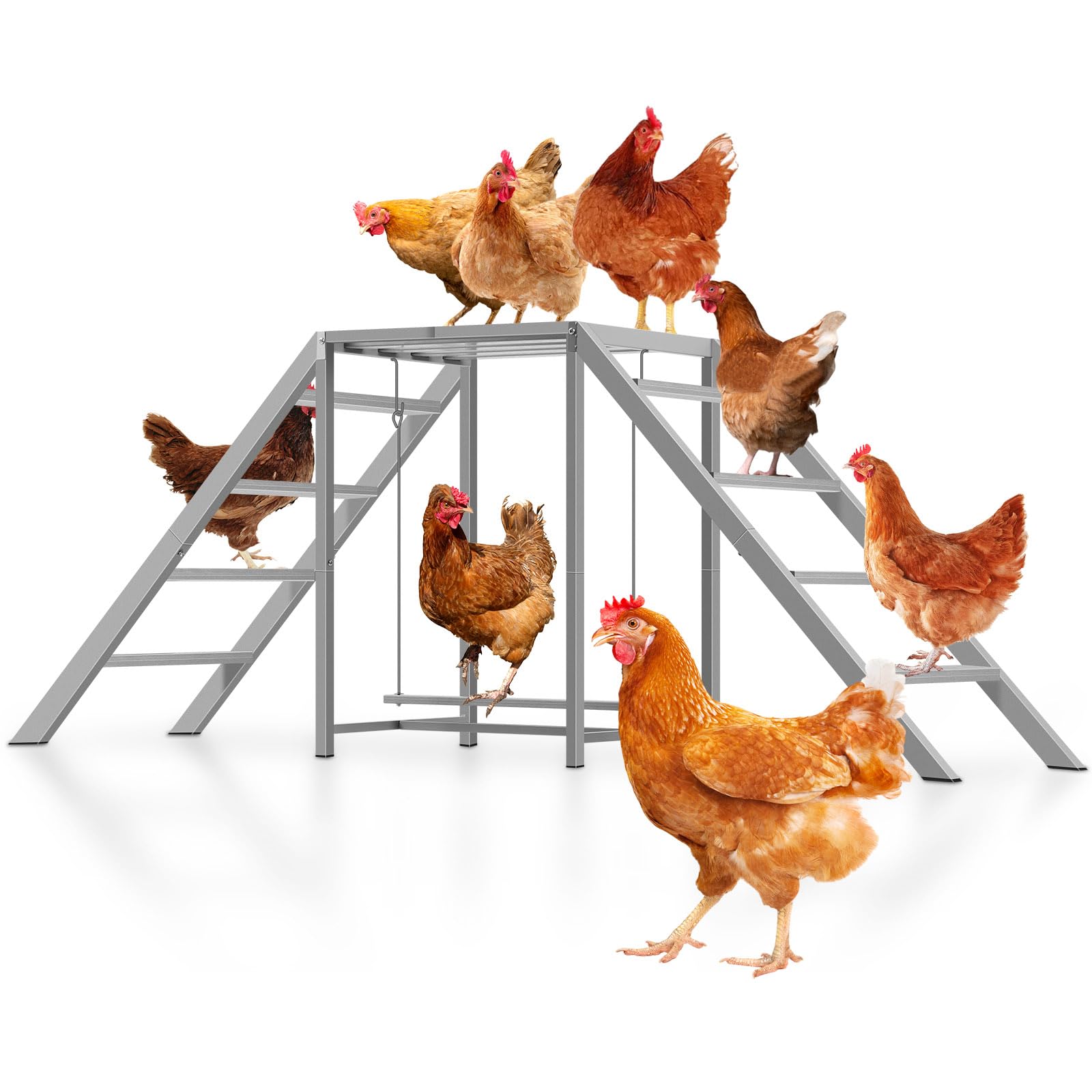 Nandae front view of assembled roost showing stable multi-level perches and space