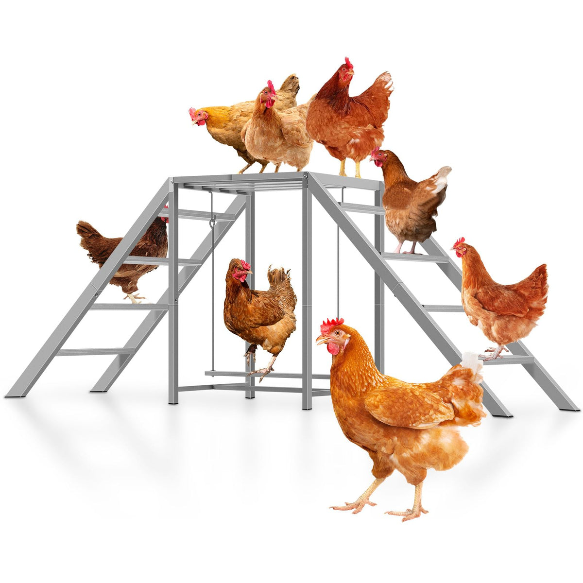Nandae front view of assembled roost showing stable multi-level perches and space