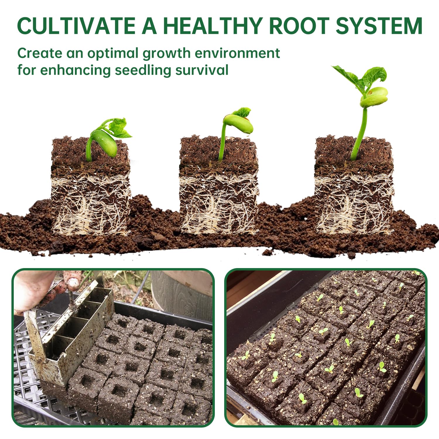 nanovi eight finished 2-inch soil blocks on tray demonstrating tidy transplant-ready blocks