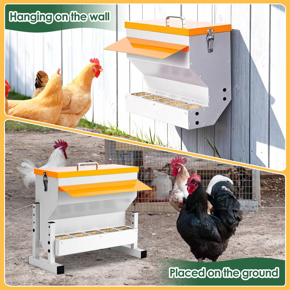 NAOEDEAH mounted on coop wall keeping feed off ground and cleaner