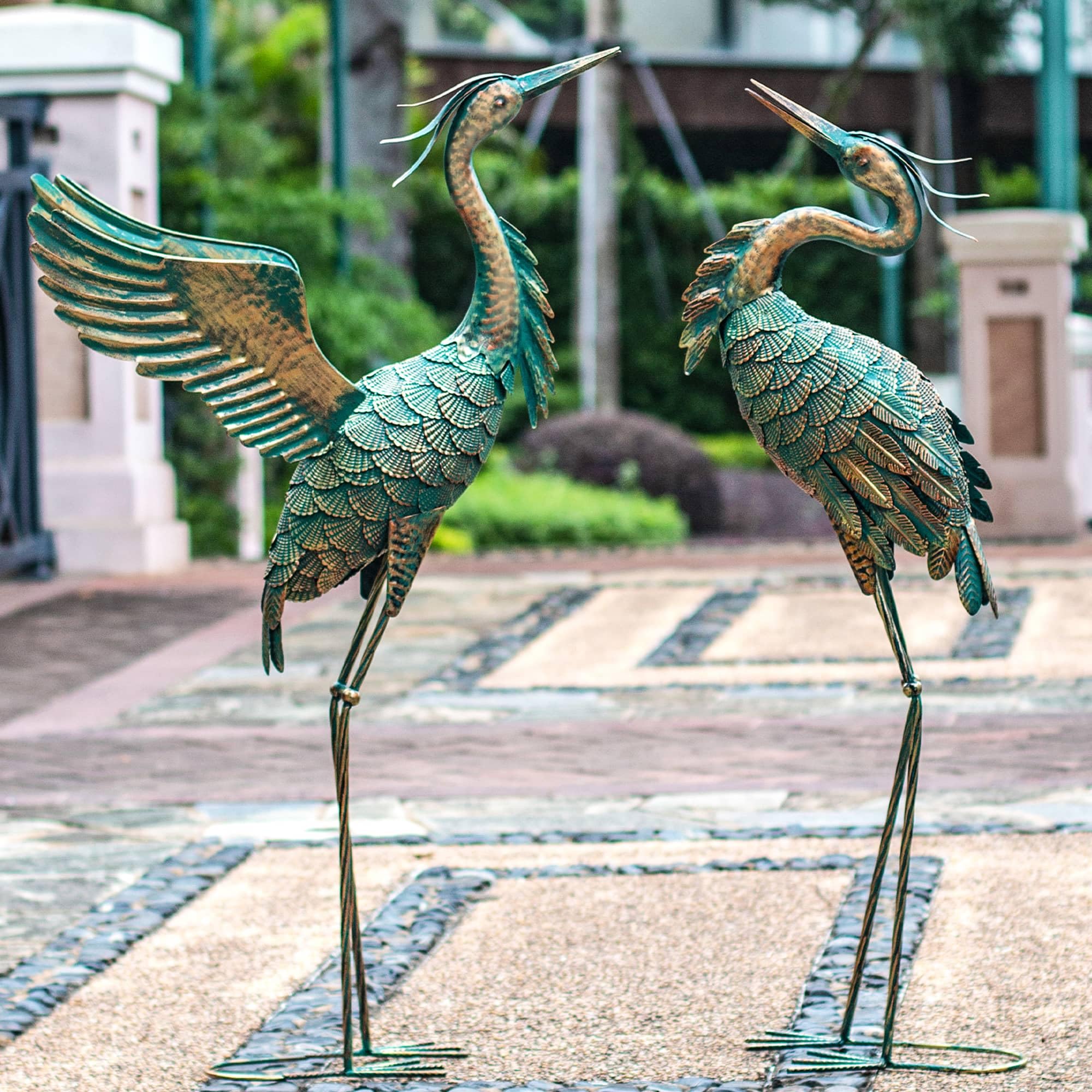 Natelf heron beside person showing scale and striking outdoor impact