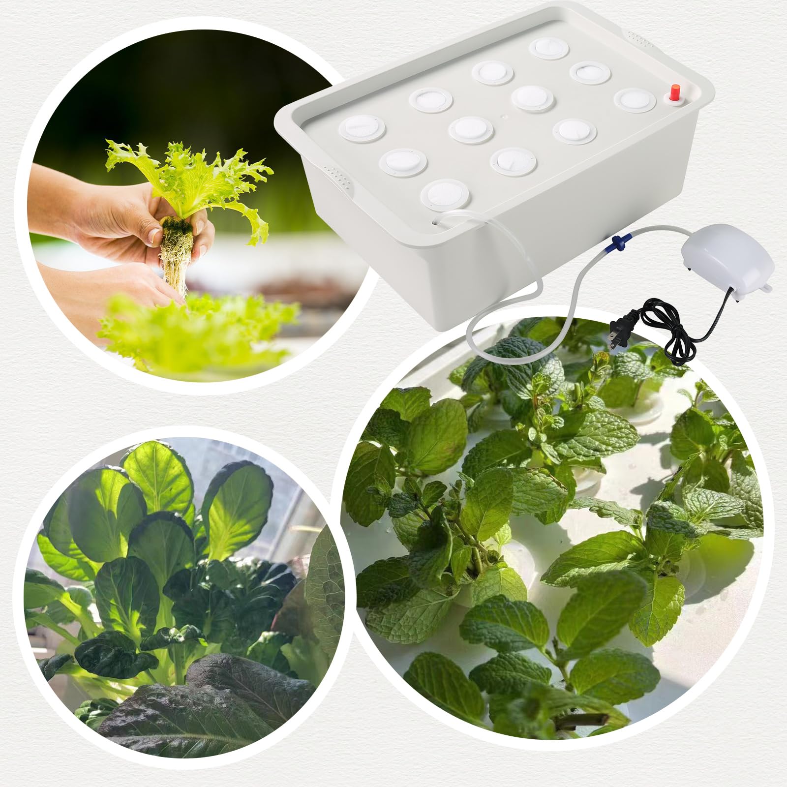 NATGAI system on a balcony with herbs growing illustrating urban fresh-produce convenience