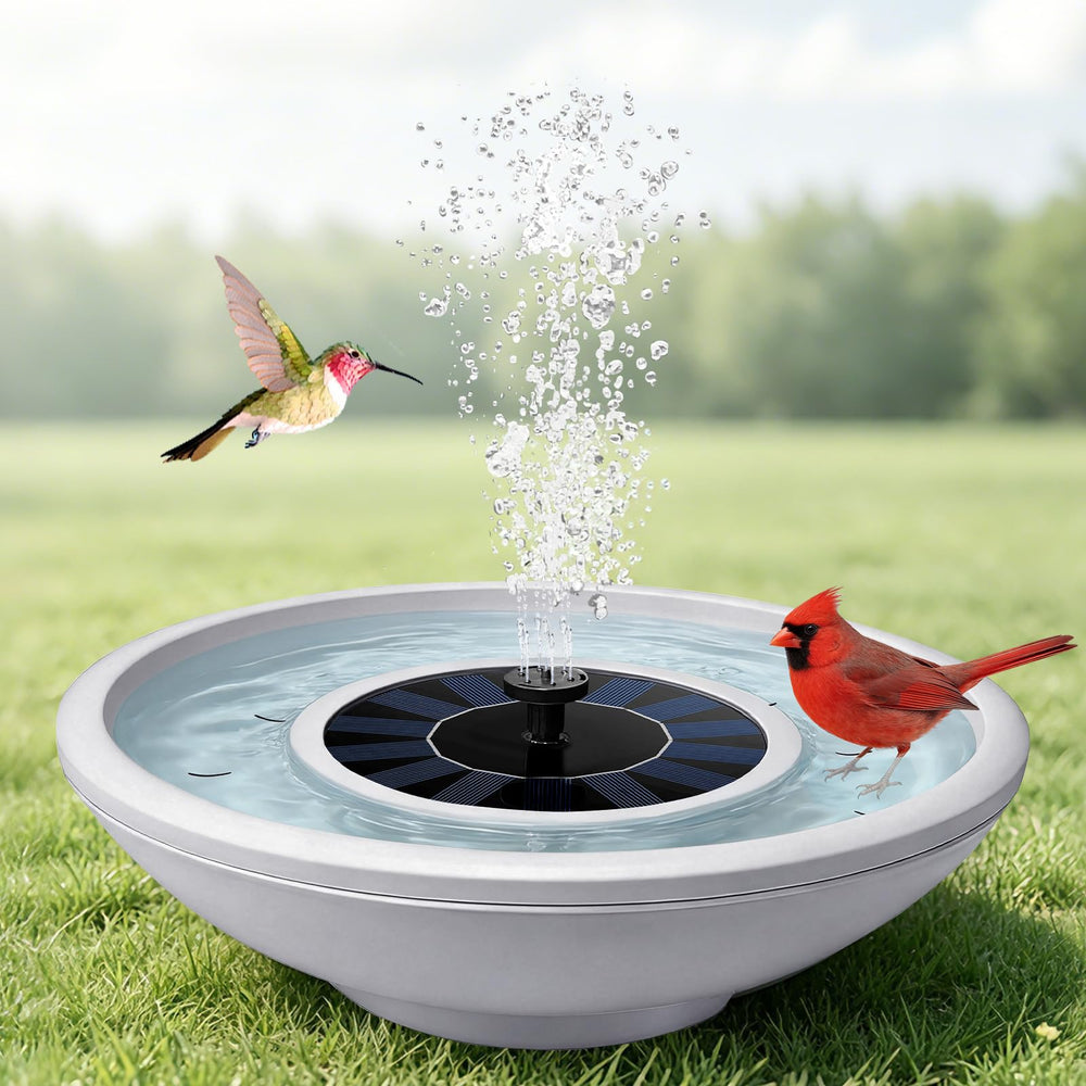 Natgarden front-view gray basin showing shape and shallow rim, invites birds