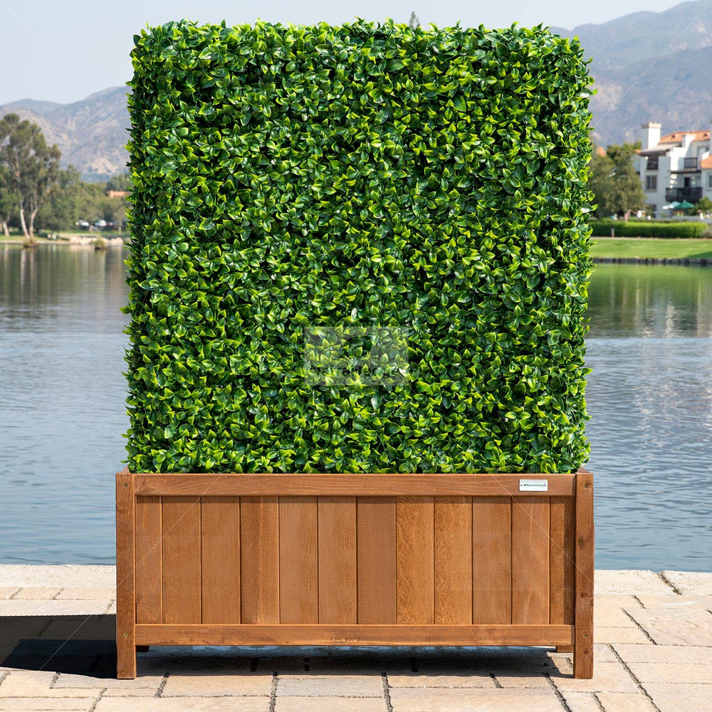 NatraHedge styled on a patio illustrating how it upgrades outdoor living spaces