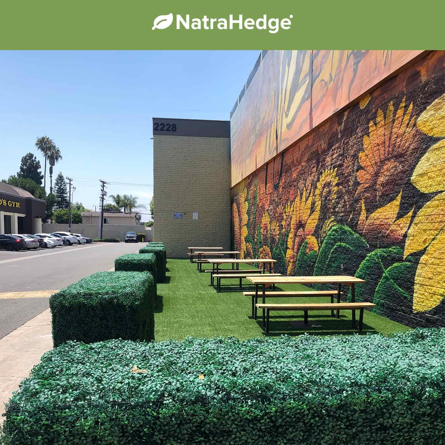 NatraHedge used as indoor living room feature wall adding low-maintenance greenery