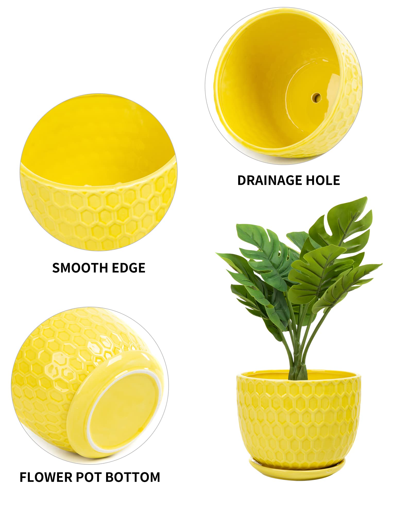 Nattol built-in saucer and drainage detail showing cleaner watering and reduced mess
