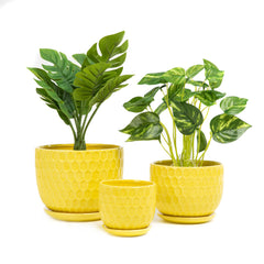 Nattol front view set of 3 yellow pots showing coordinated styling and cheerful color