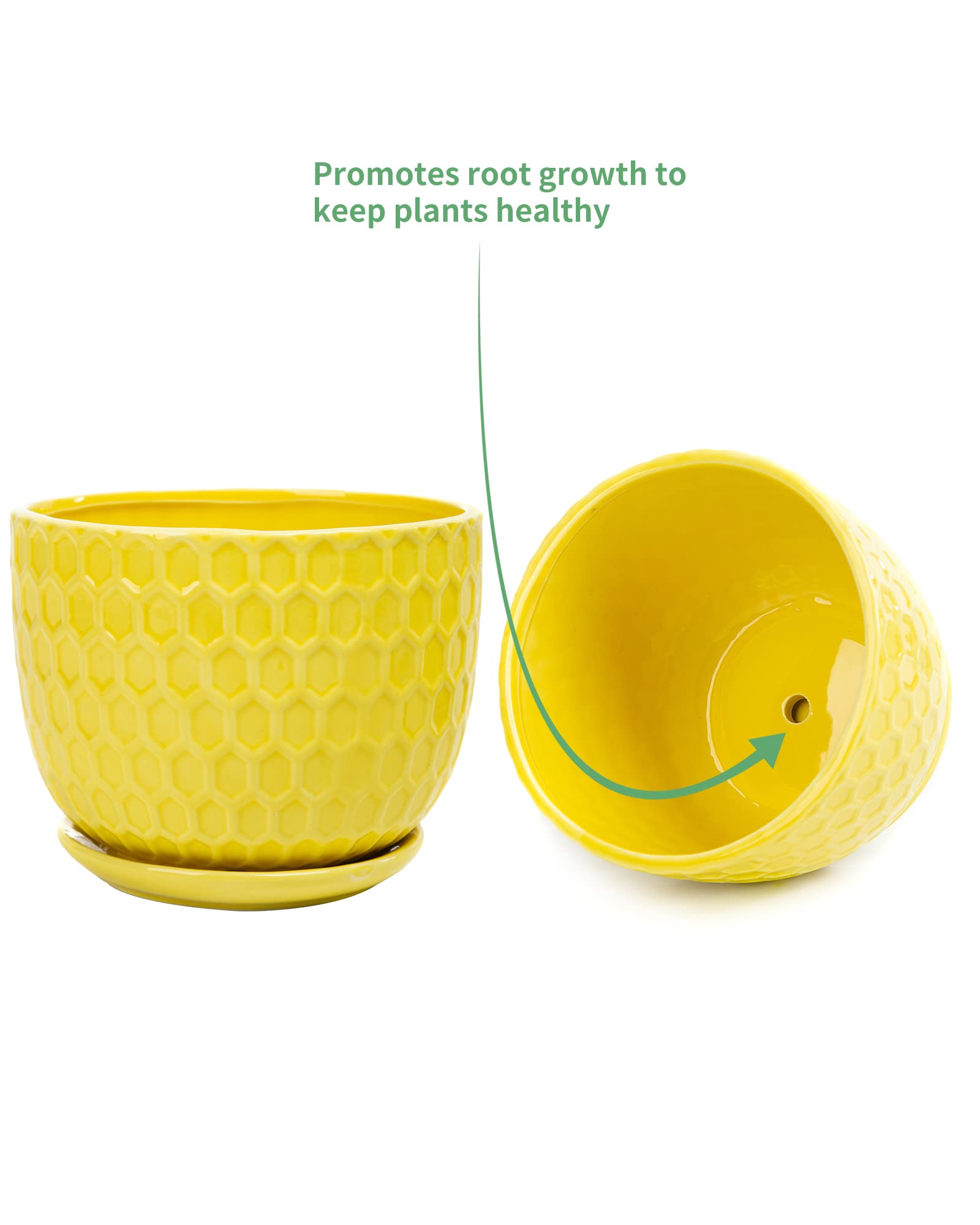 Nattol set on windowsill lifestyle scene showing bright decor and easy display