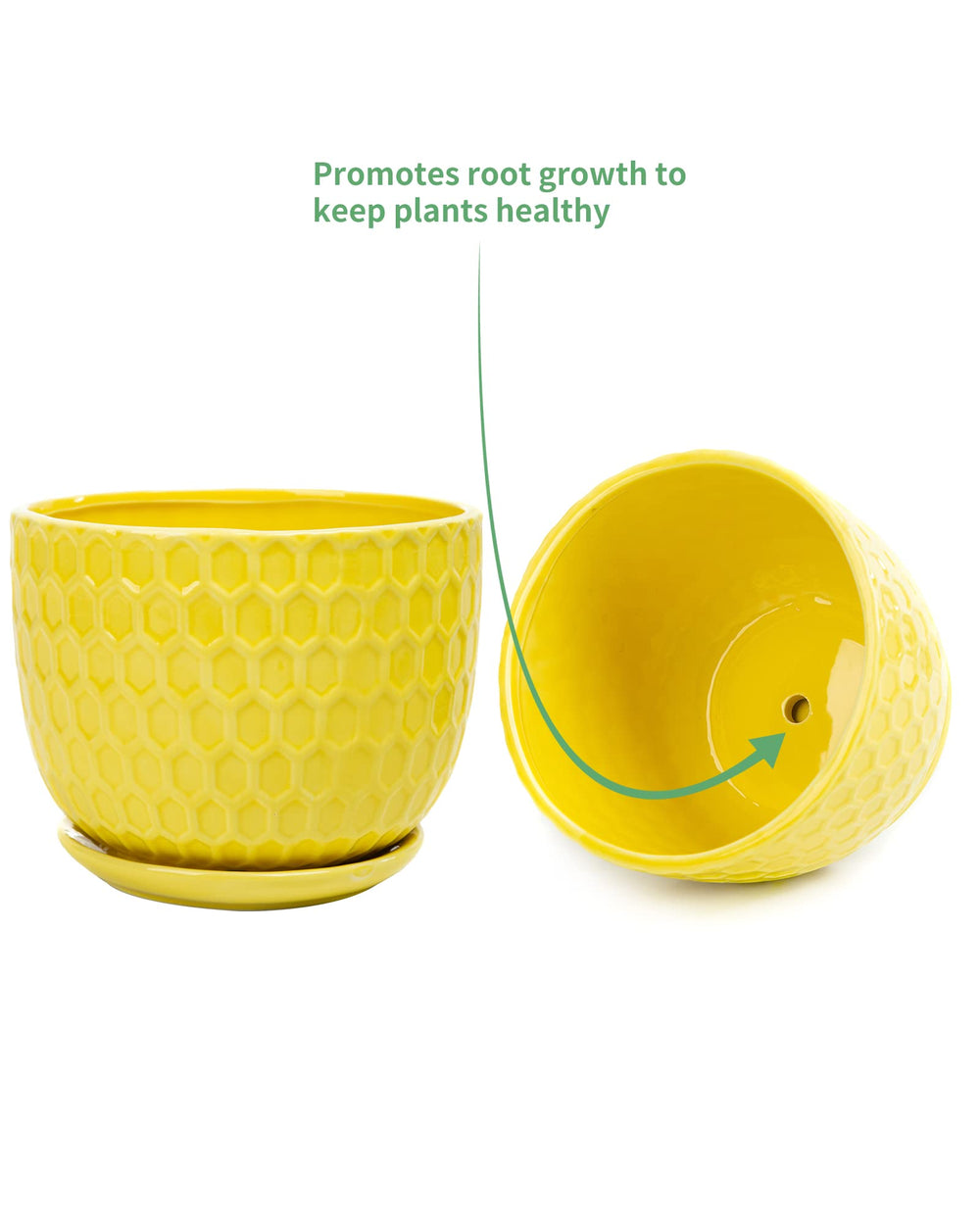 Nattol set on windowsill lifestyle scene showing bright decor and easy display