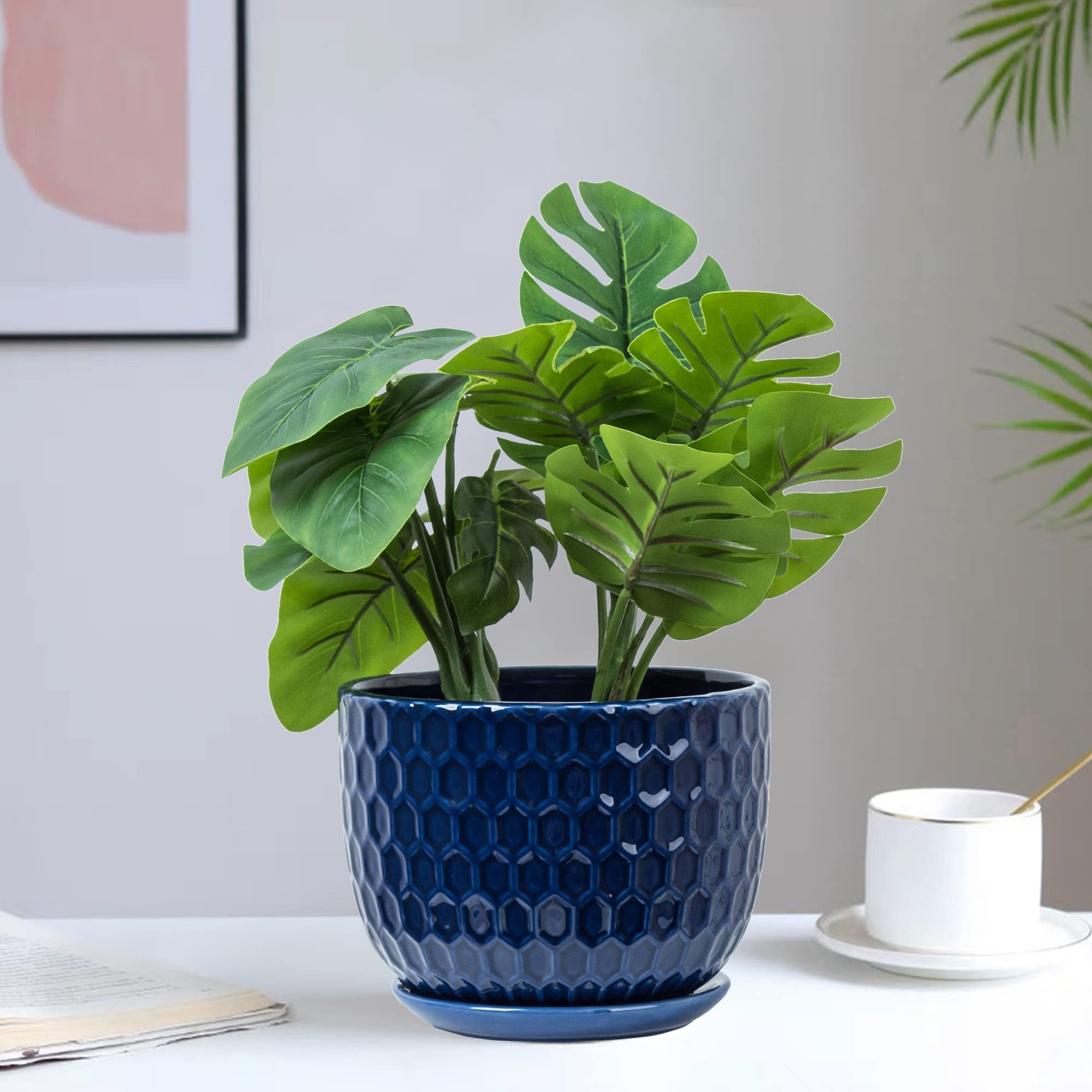 Nattol pot next to hand for scale showing compact, space-saving size
