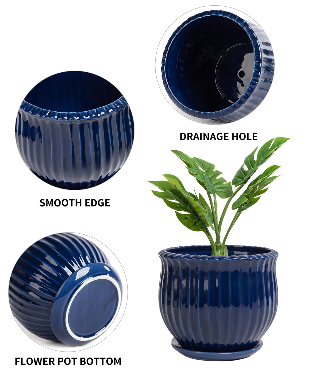 Nattol small pot with succulent staged to show styling and space savings