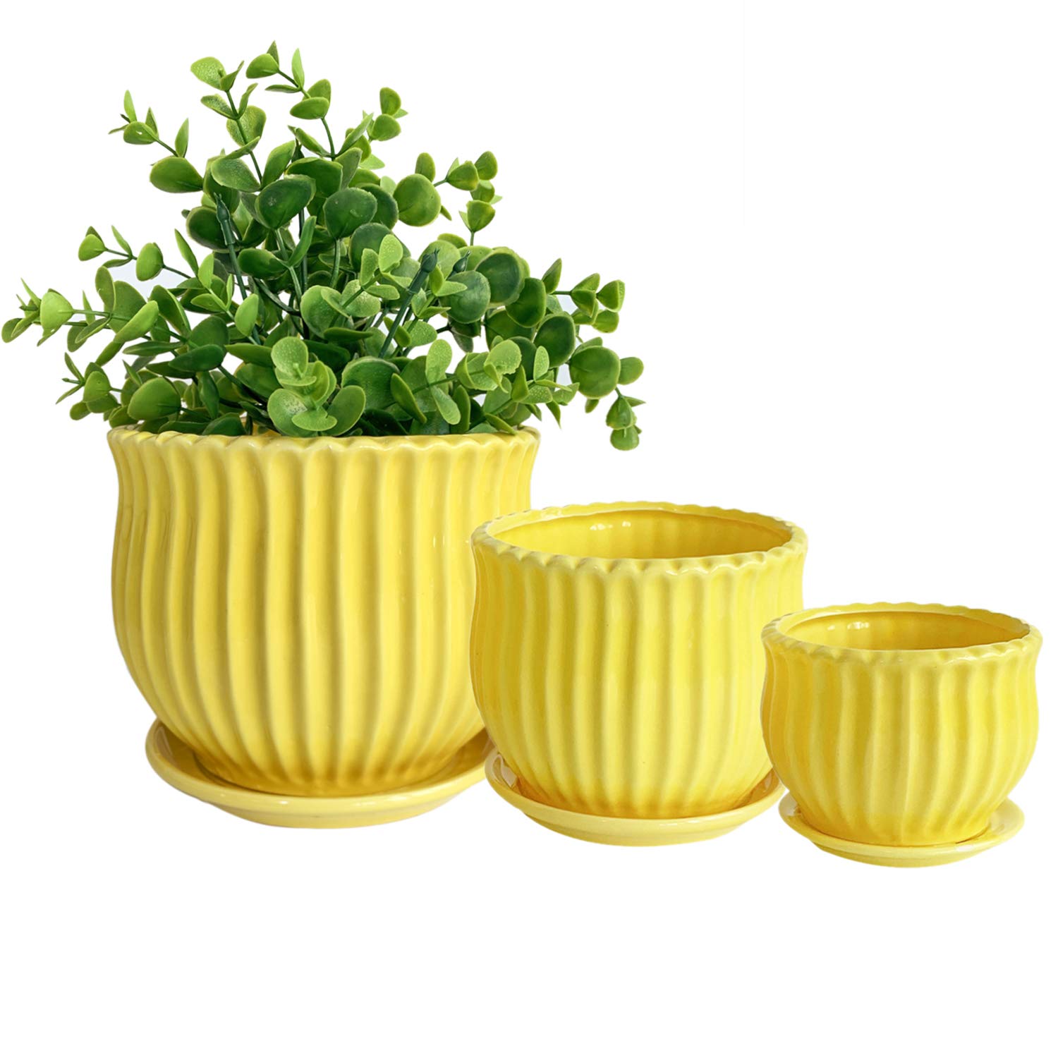 Nattol yellow ceramic pots front view showing trio and cheerful styling benefit