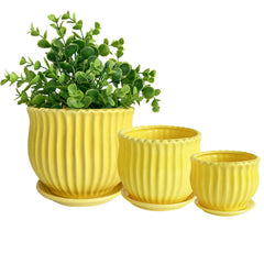 Nattol yellow ceramic pots front view showing trio and cheerful styling benefit