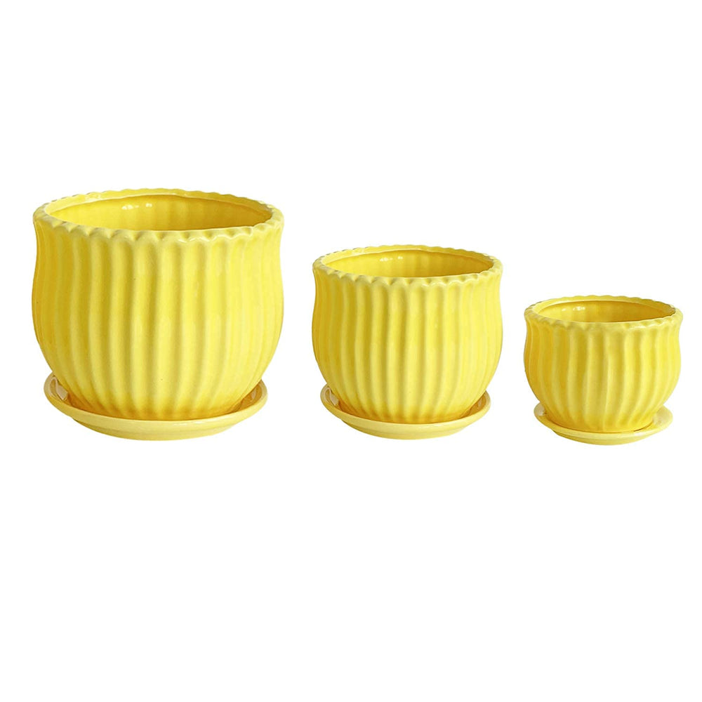 Nattol three pots side-by-side showing size comparison for right plant fit