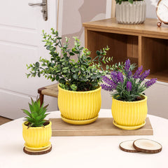 Nattol close-up stripe texture on pot showing tactile detail and visual interest