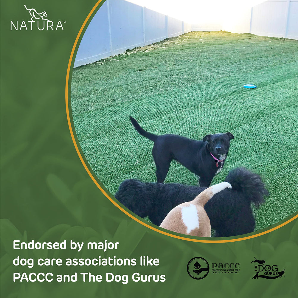 Natura Pet installed turf in a lawn demonstrating immediate mud protection