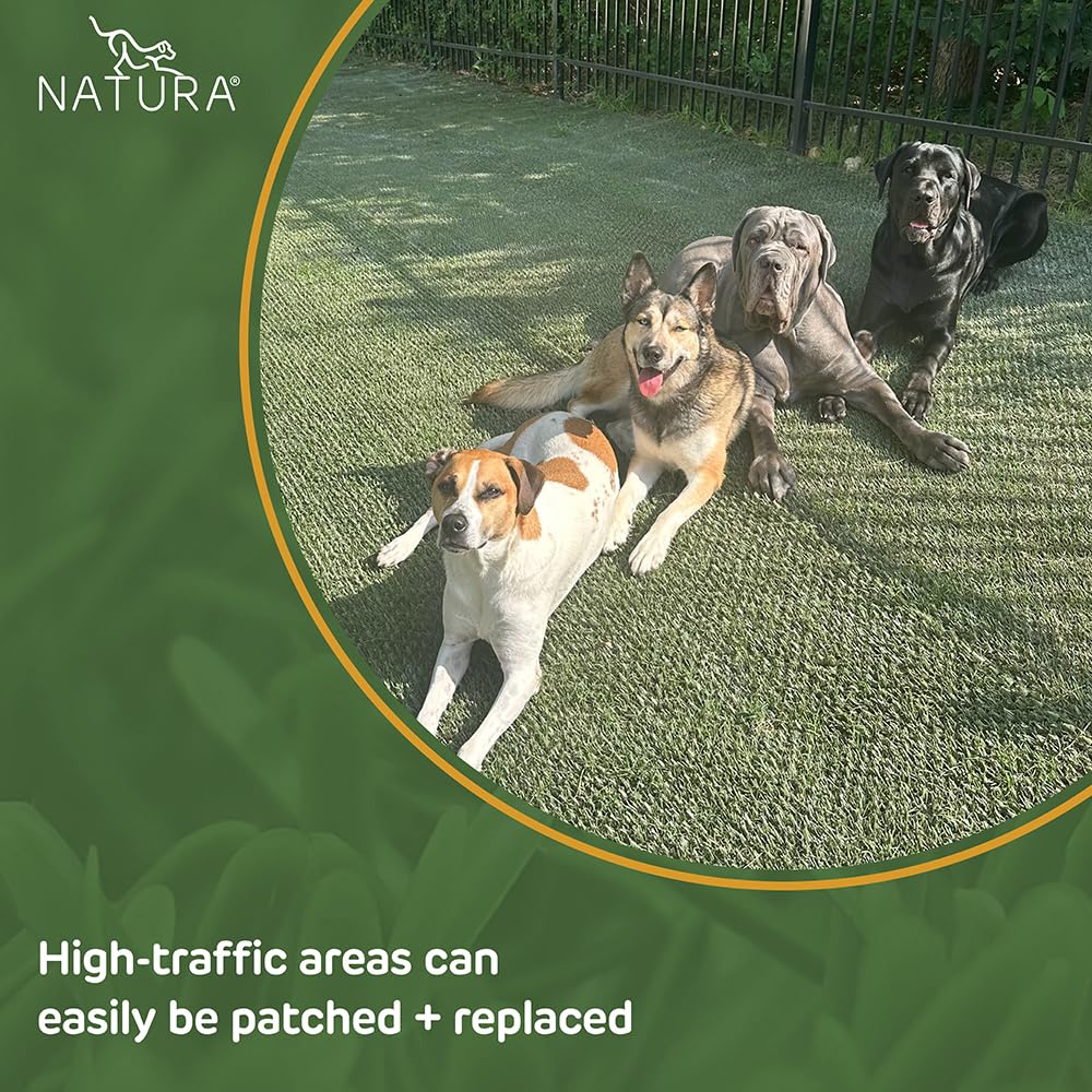 Natura Pet lawn showing mowed grass growing through turf for seamless blend