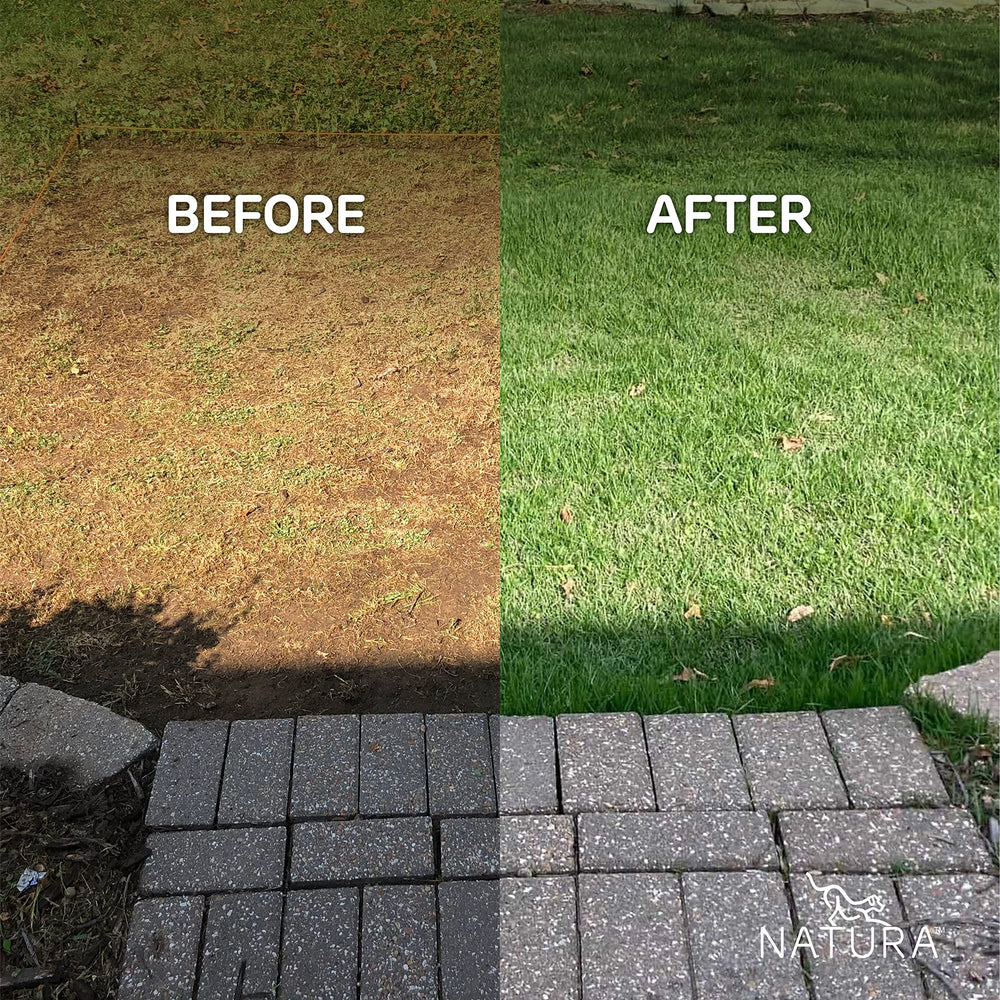 Natura Pet by Tropik patch after mowing showing grass grown through and integrated lawn look