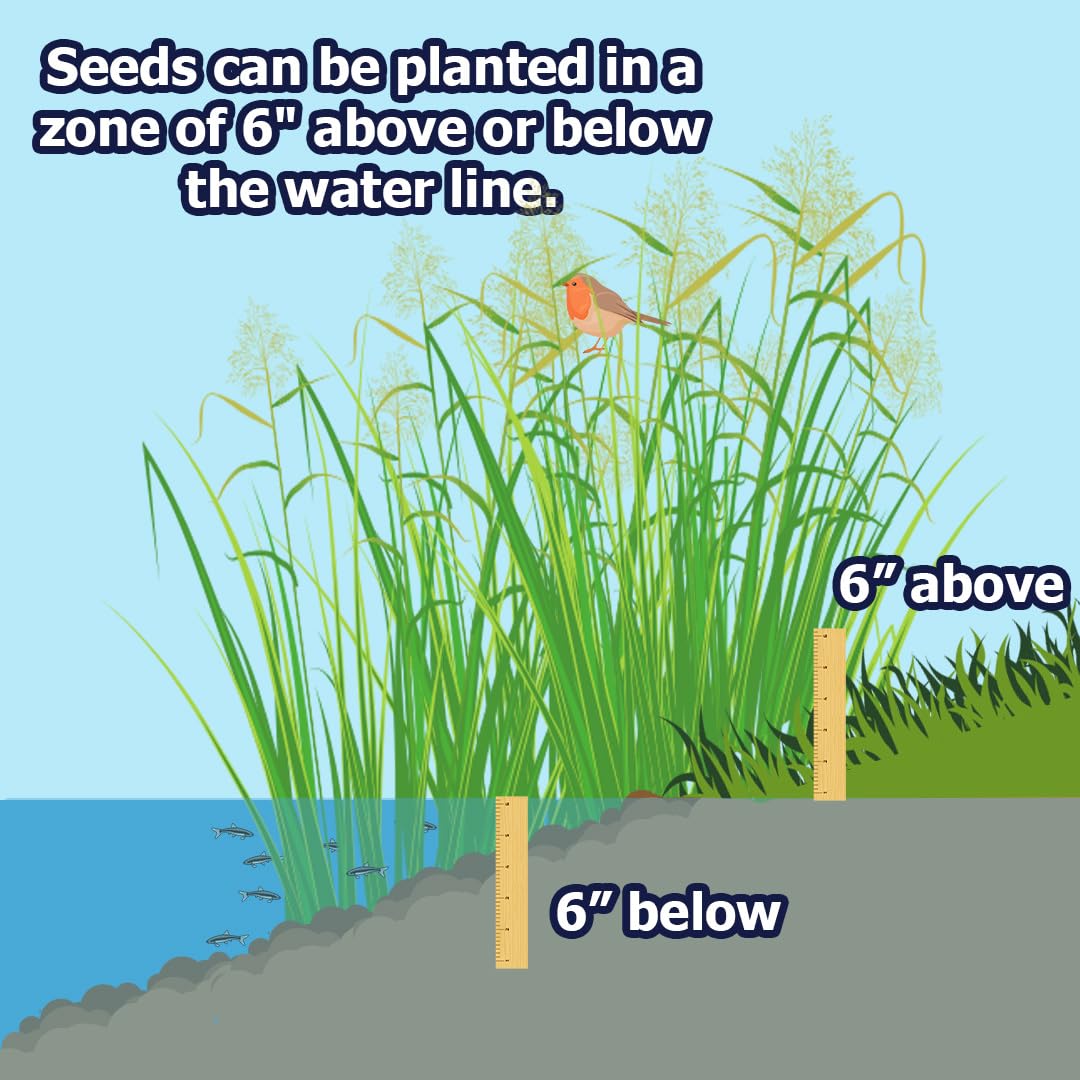 Natural Waterscapes established shoreline grasses providing habitat