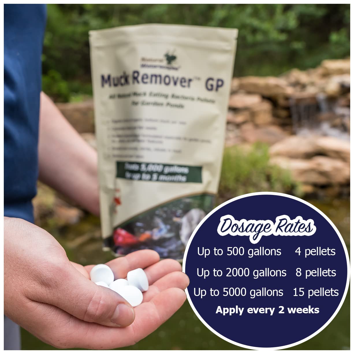Pellets being scattered into a pond showing Natural Waterscapes application benefit