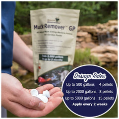 Pellets being scattered into a pond showing Natural Waterscapes application benefit