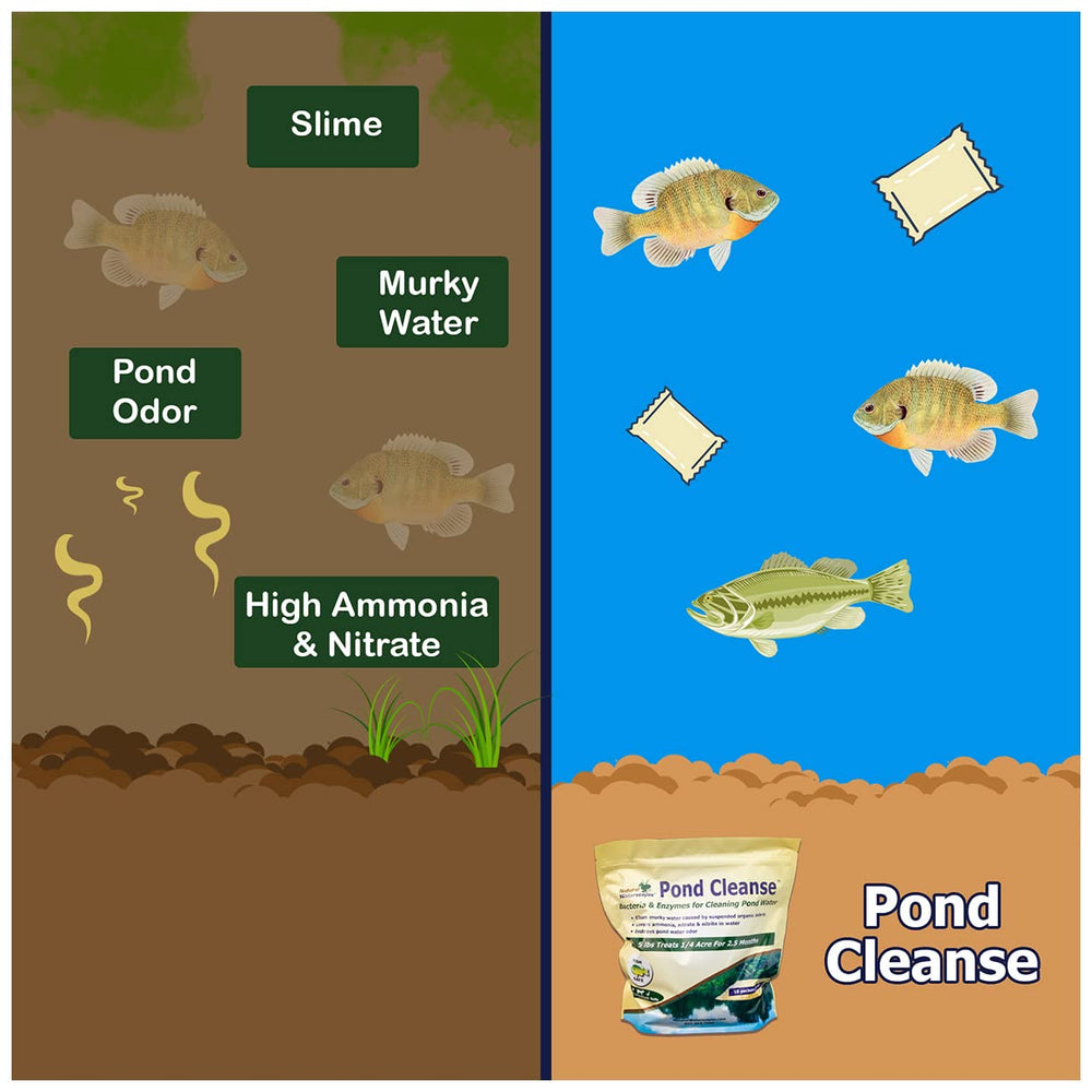 Natural Waterscapes packet in hand showing scale and convenience