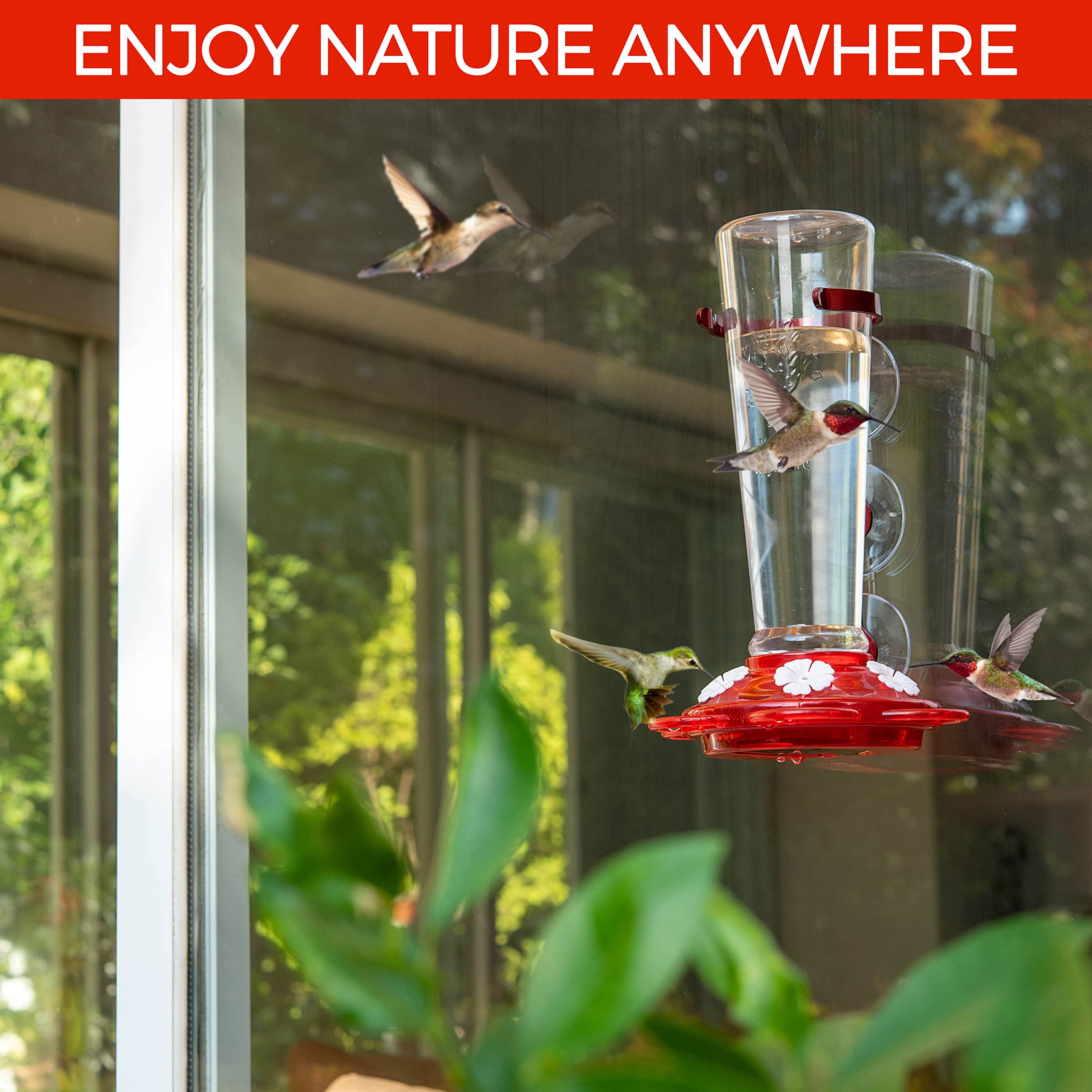 Nature Anywhere clear reservoir showing nectar level for easy refill monitoring benefit