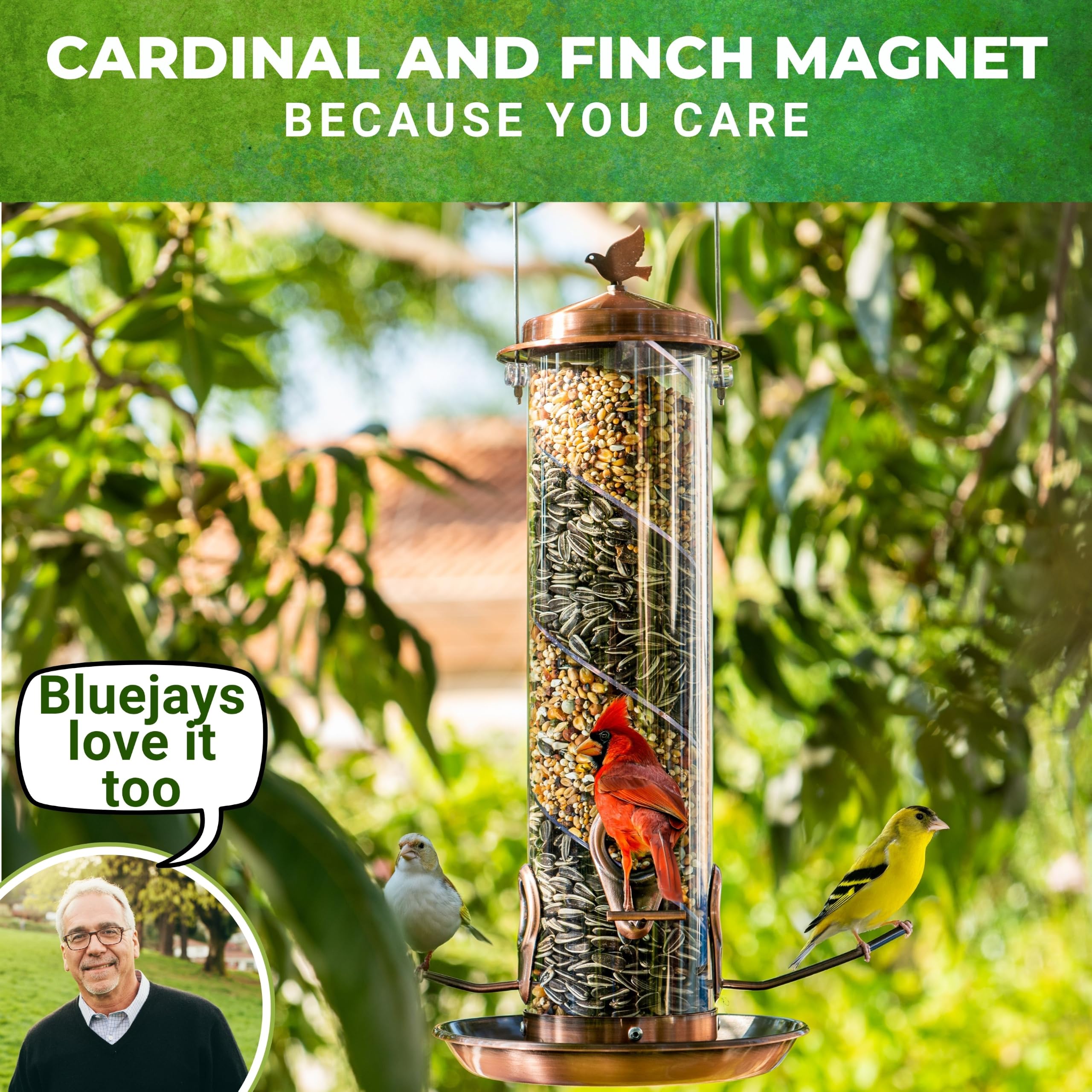 Nature Anywhere feeder hanging on shepherds hook showing stable outdoor placement