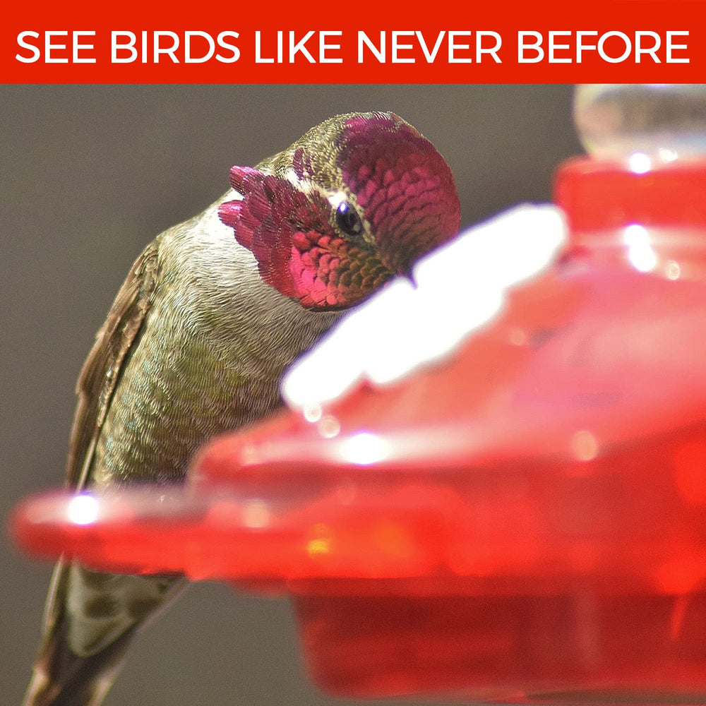 Nature Anywhere three interchangeable flower tops arrayed to show color options that attract birds