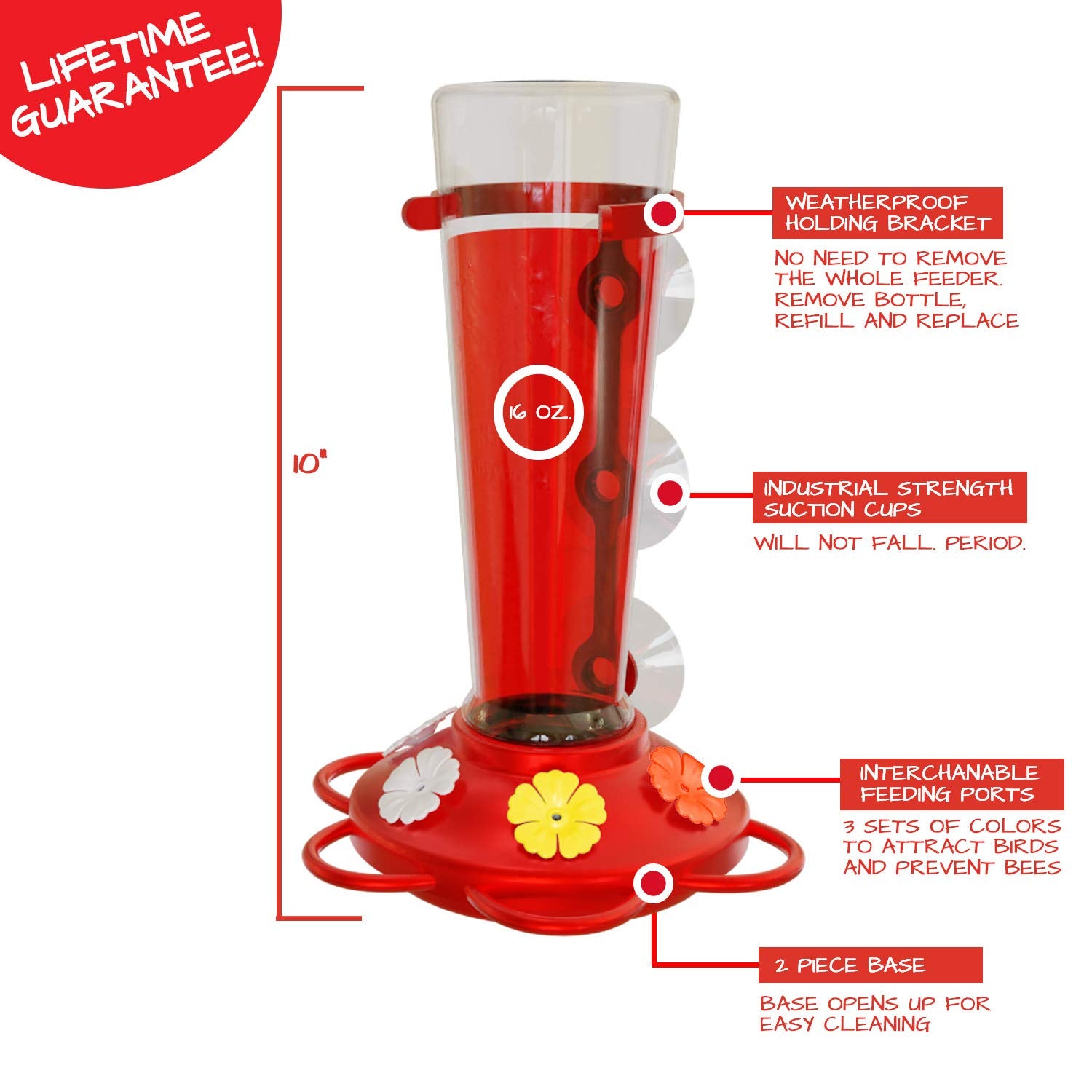 Nature Anywhere strong suction cup attachment on glass illustrating reliable mount stability
