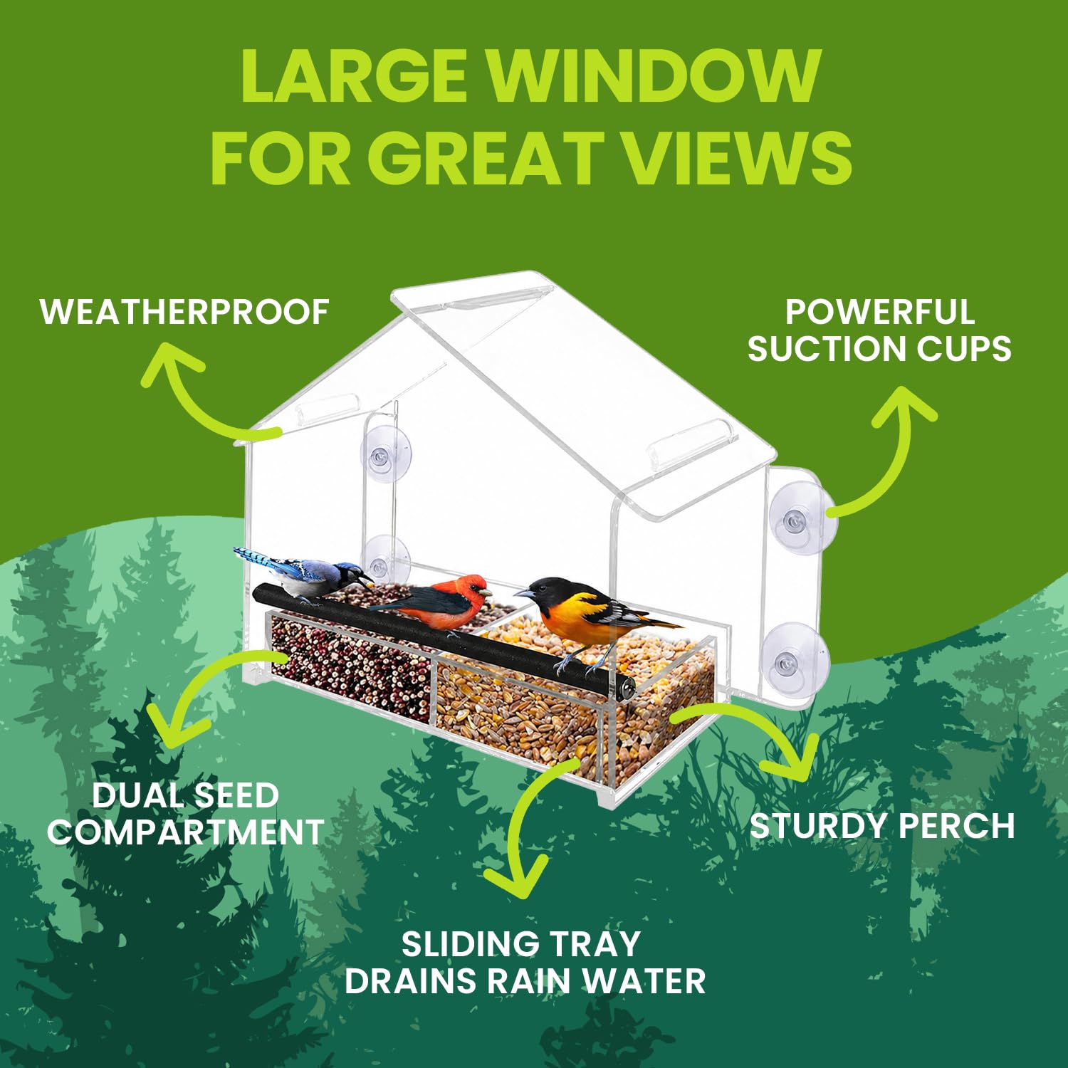 Nature Gear small songbirds feeding on the perch showcasing close-up viewing