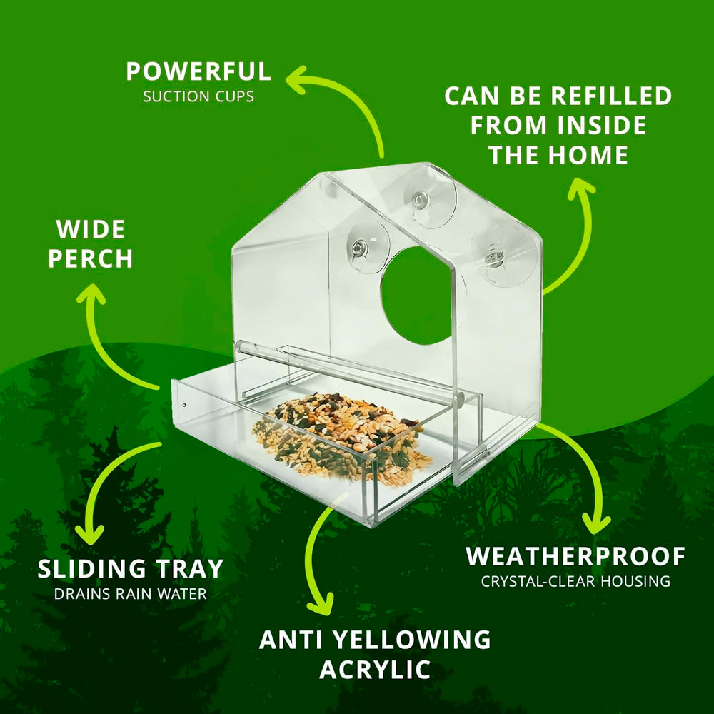 Nature Gear feeder in use with small birds feeding for up-close observation