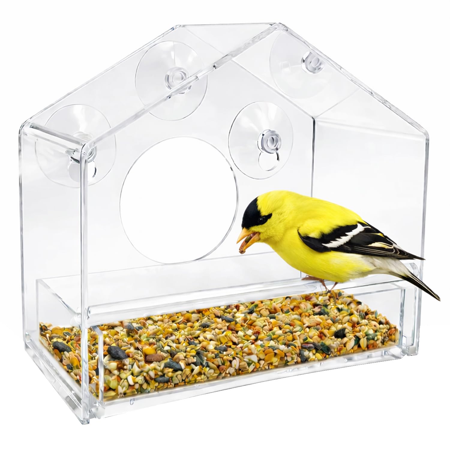 Nature Gear front view of acrylic window bird feeder showing clear visibility benefit