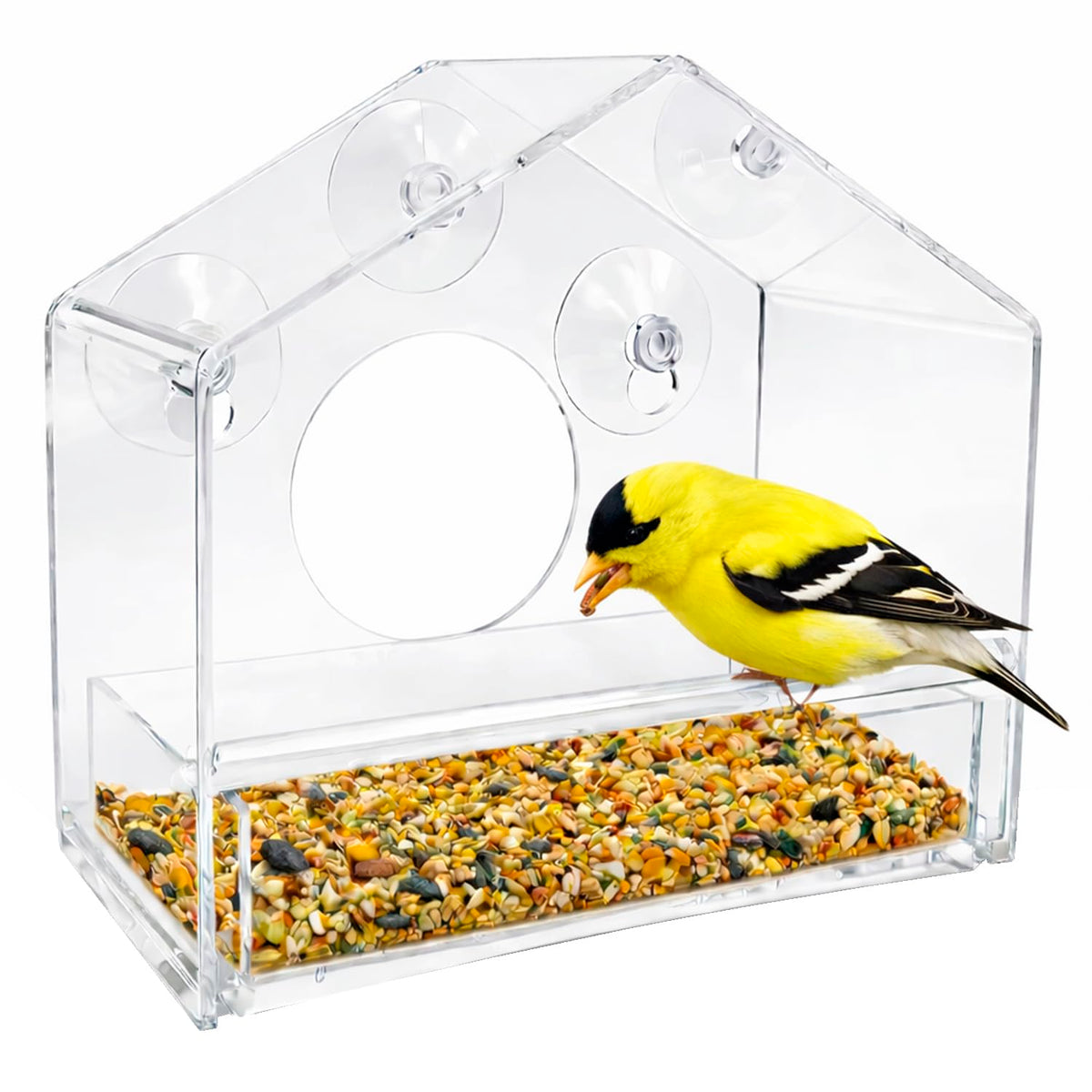 Nature Gear front view of acrylic window bird feeder showing clear visibility benefit